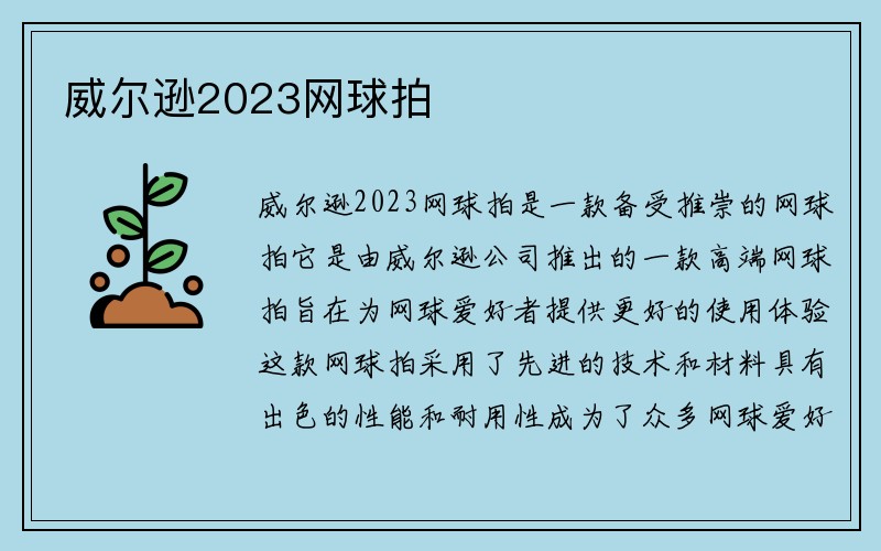 威尔逊2023网球拍